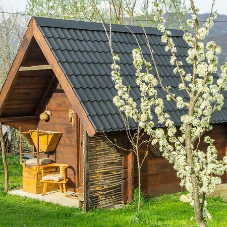 Вилла Djurdjevina Family Farm Колашин Экстерьер фото