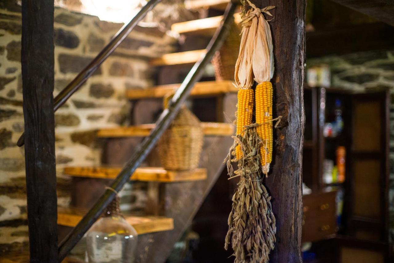 Вилла Djurdjevina Family Farm Колашин Экстерьер фото