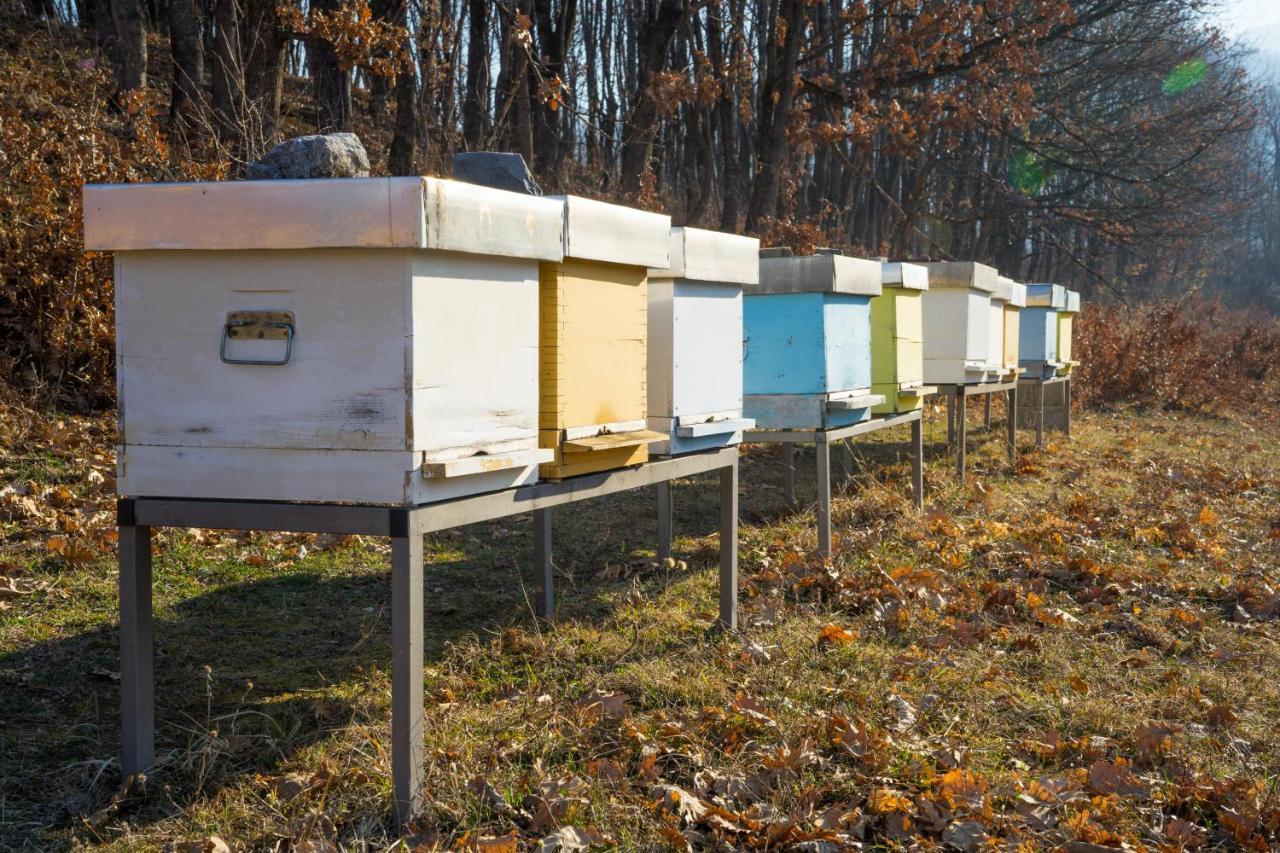 Вилла Djurdjevina Family Farm Колашин Экстерьер фото