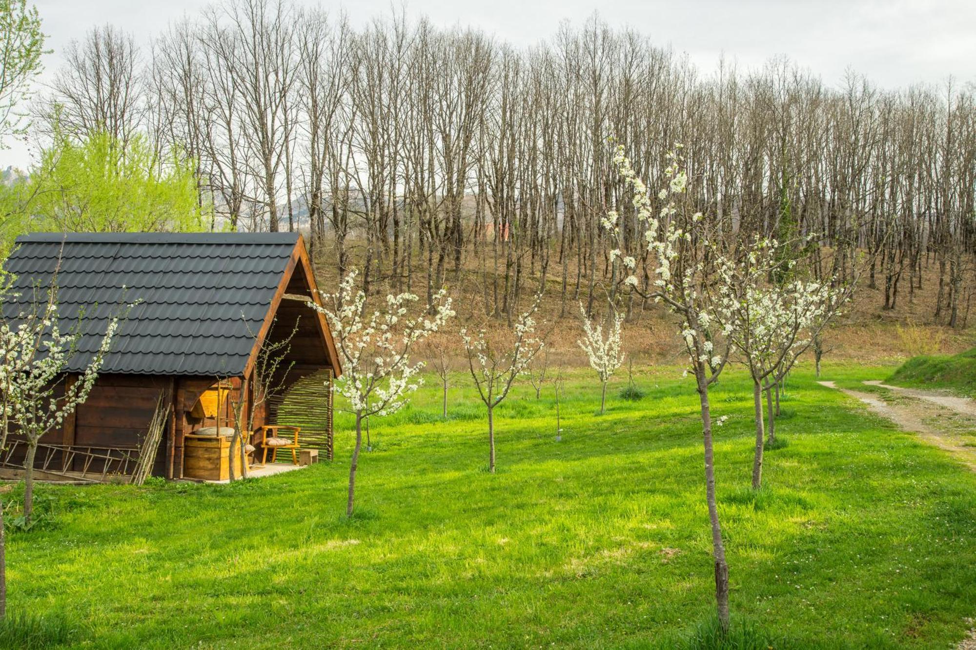 Вилла Djurdjevina Family Farm Колашин Экстерьер фото
