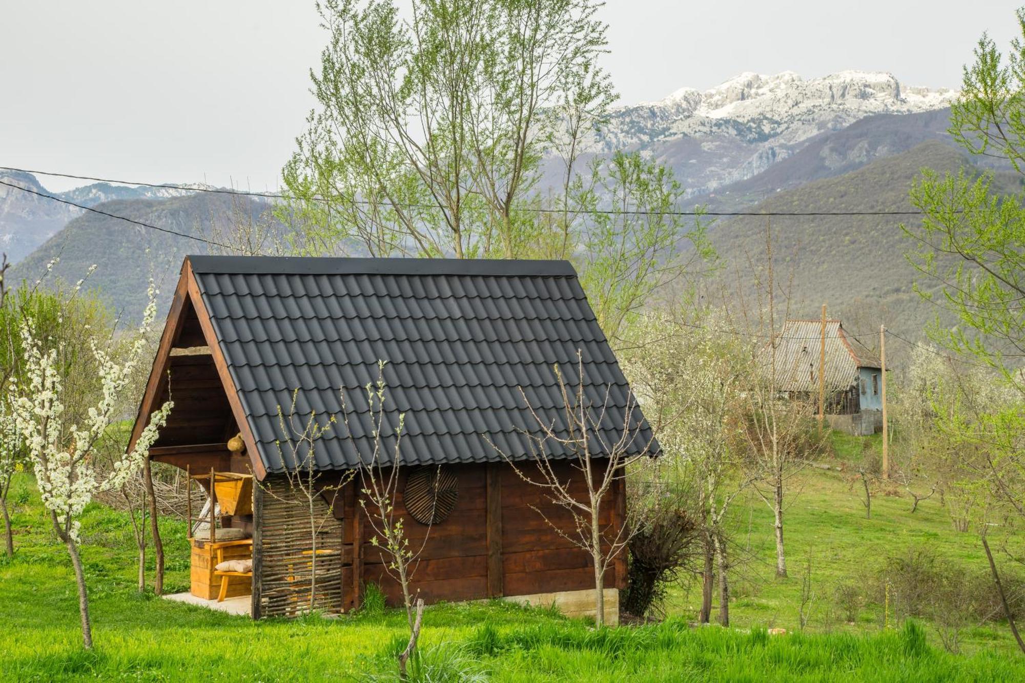 Вилла Djurdjevina Family Farm Колашин Номер фото